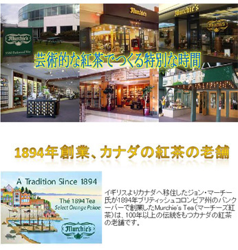 �|�p�I�ȍg��